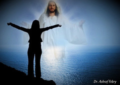 2407960698_667f19de7b_m