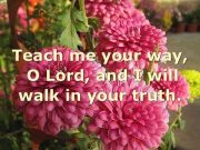 553951_673061322719271_2063579971_n