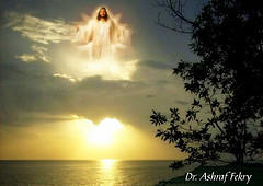 2789295801_96e79a9b9f_m