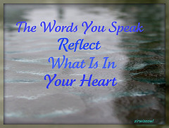 6447825367_d360021037_m