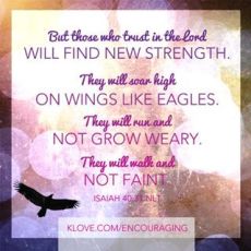 1236142_10152173139714056_874476393_n