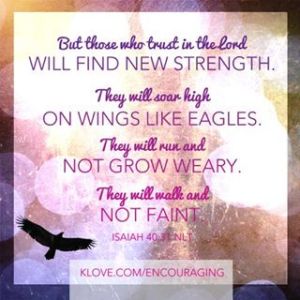 1236142_10152173139714056_874476393_n