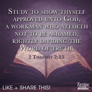 546891_10151819506914534_533253207_n