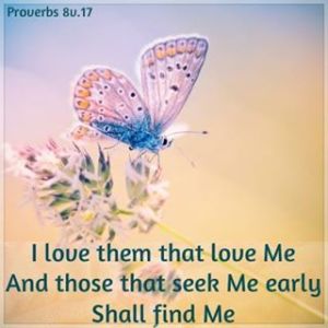 1466068_537012743056691_2031786269_n