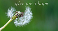 3460403278_8e2cb549f8_m