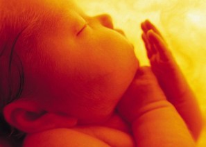 unborn-baby (2)