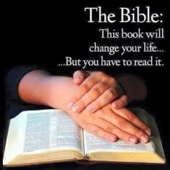 read Bible