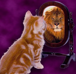 kitten-lion-mirror1