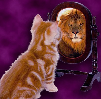 kitten-lion-mirror1