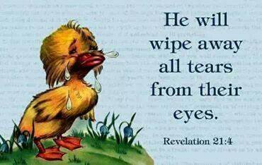 1382014_532920773465888_1934147788_n