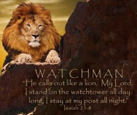 watchman