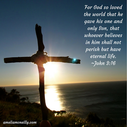 John 3 16d