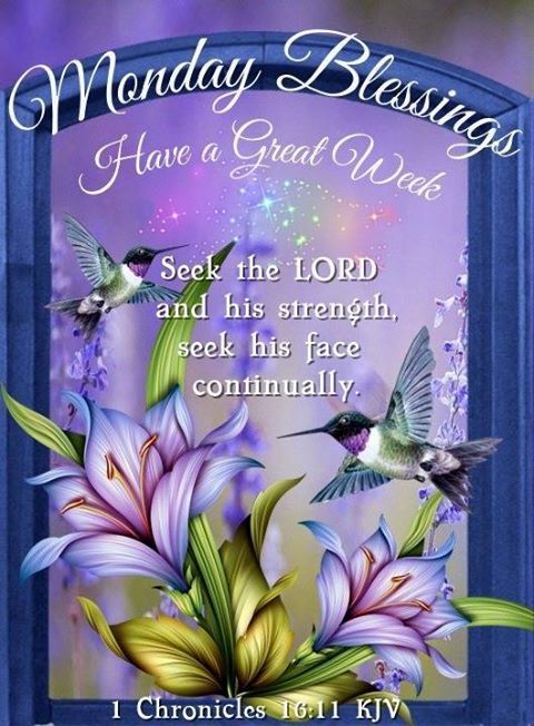 Seek the Lord
