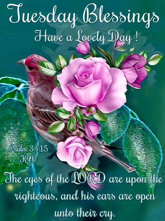 the eyes of the Lord