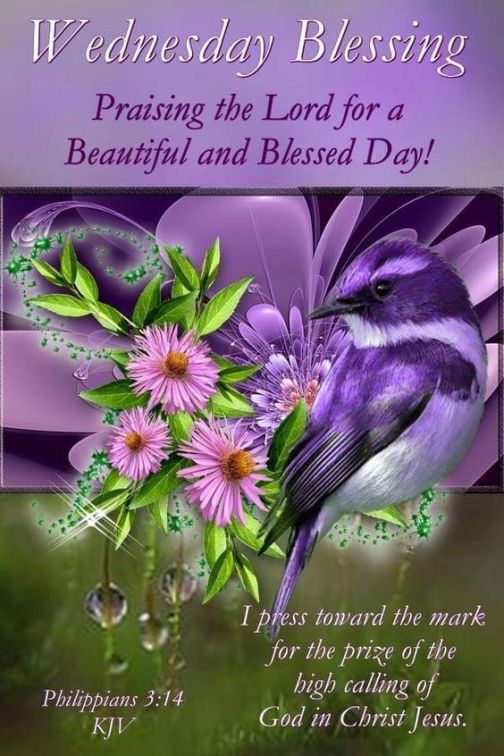 I press towards the prize