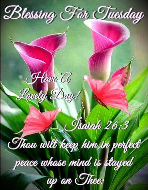 Perfect peace