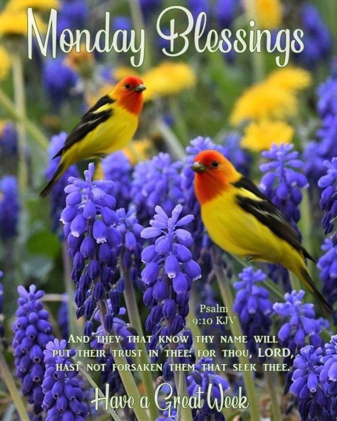 They that know thy name